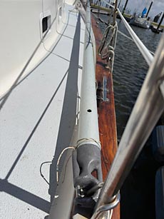 Whisker Pole